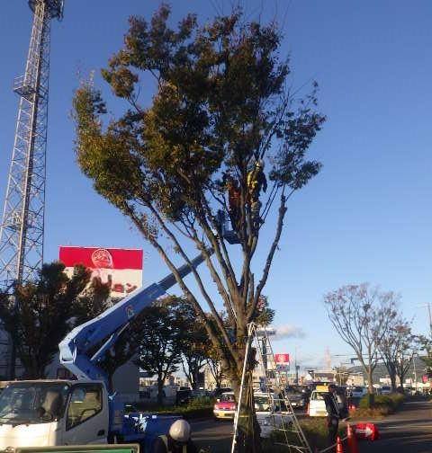 株式会社誠光園の求人・転職情報