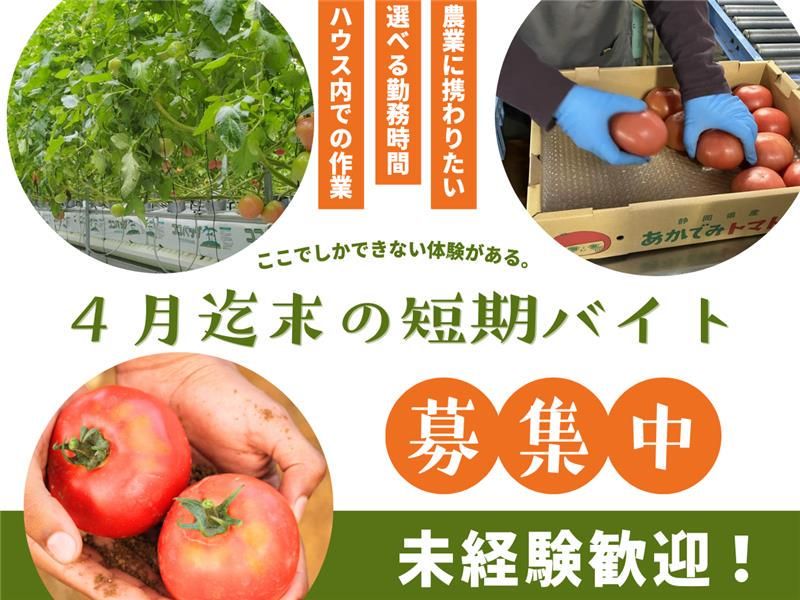 ベルファーム株式会社のアルバイト・バイト求人情報-04