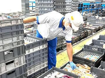 山崎製パン株式会社　伊勢崎営業所のアルバイト・バイト求人情報-04