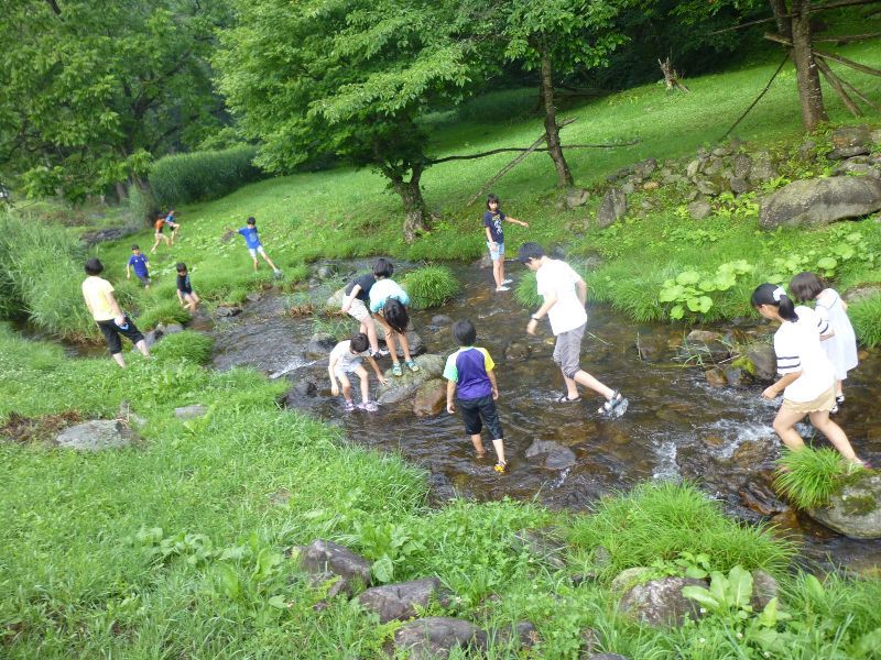 虹の子保育園の派遣求人情報