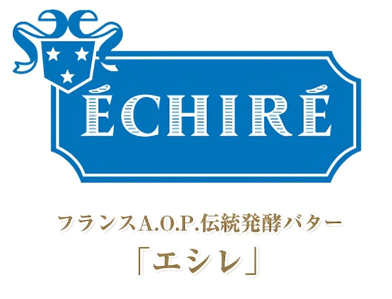 ファッション人材リンク株式会社の派遣求人情報