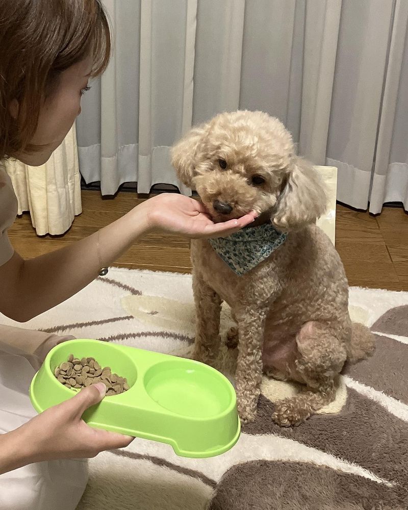 恵比寿ガーデンプレイスタワー37階のアルバイト・バイト求人情報-03