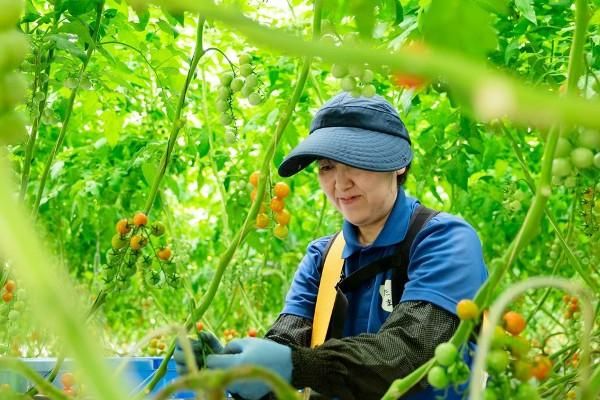 株式会社たねまき常総のアルバイト・バイト求人情報-04