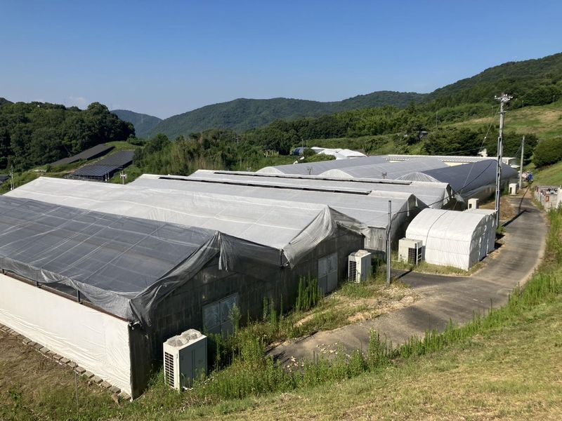 アートグリーン株式会社-0002の求人・転職情報