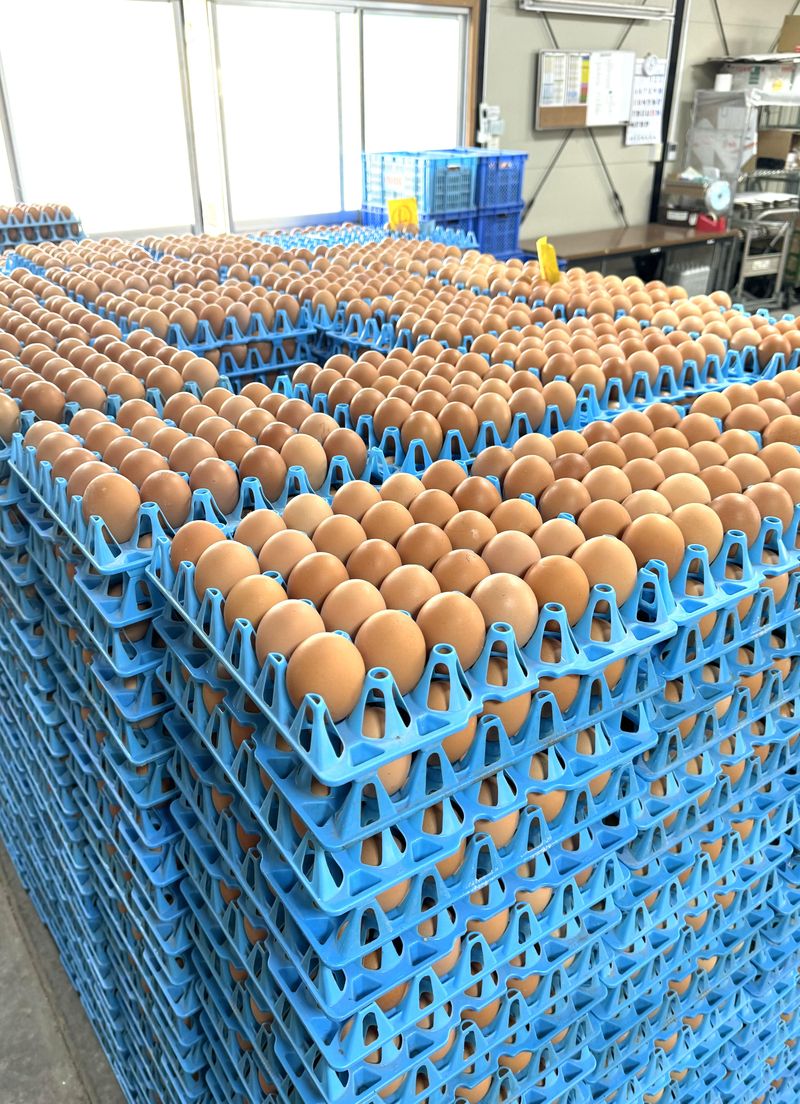 有限会社　桂ファームの求人・転職情報-05