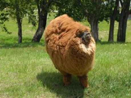 株式会社ヒューマニックのアルバイト・バイト求人情報-04