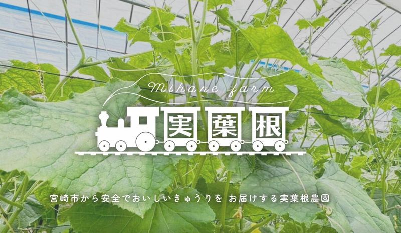 実葉根農園のアルバイト・バイト求人情報-02