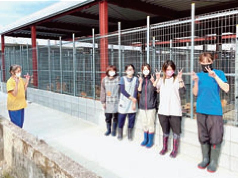 M.H.ドリームハウスJPの派遣求人情報