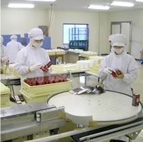 株式会社コーワの求人・転職情報