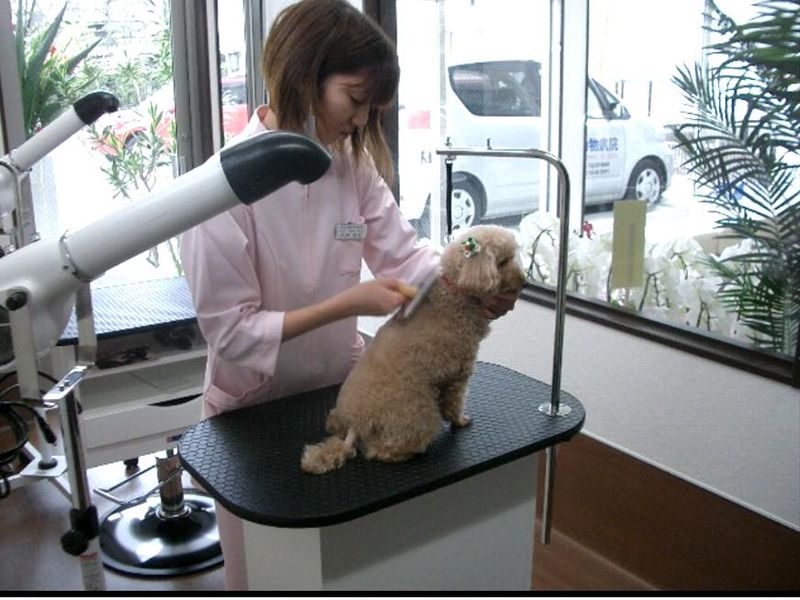 大和動物病院の求人・転職情報