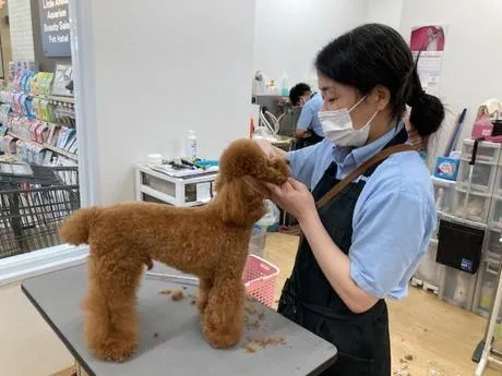 求人画像