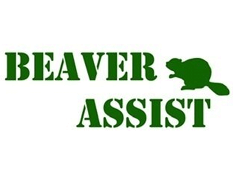 株式会社ＢＥＡＶＥＲ　ＡＳＳＩＳＴの求人・転職情報