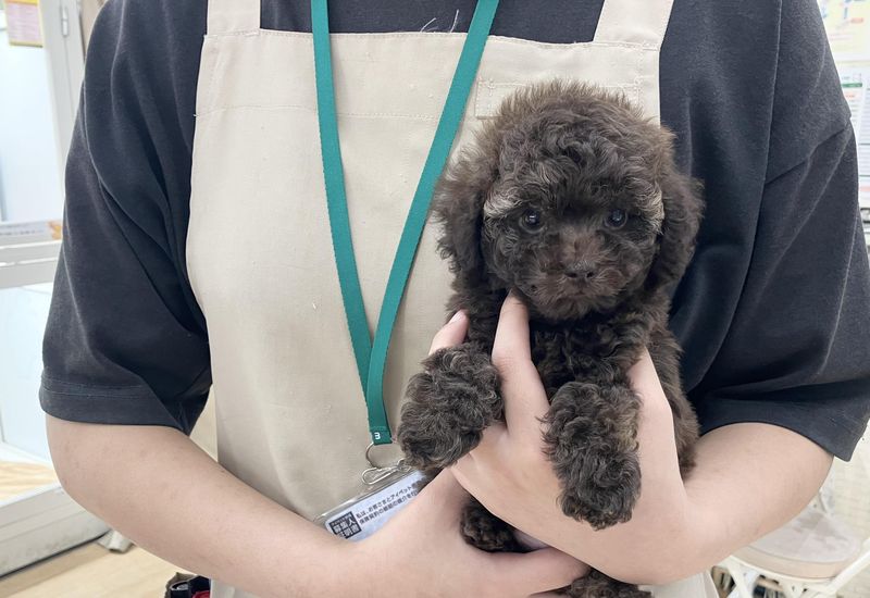 有限会社　かねだい戸田の求人・転職情報