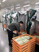 アイディック株式会社の派遣求人情報