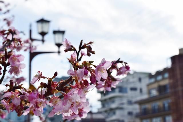 一般社団法人プロモーション白子のアルバイト・バイト求人情報-04