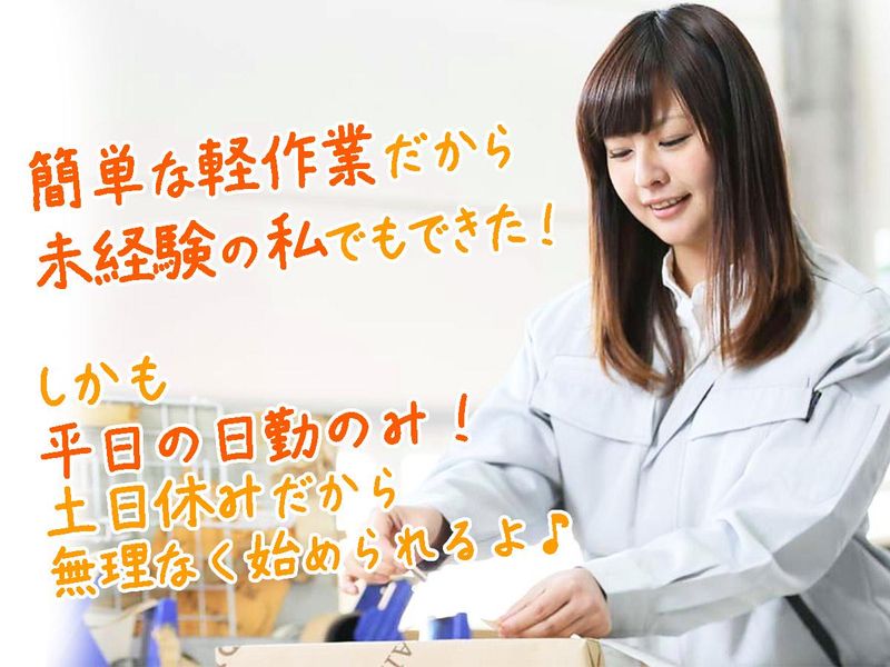 株式会社ASK(お仕事NO.60-A11-2)