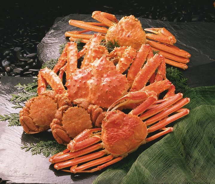 株式会社キャリアソリューション