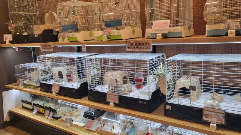 株式会社ドッグマンコーポレーション　ペットプラザ ミッテン府中店のアルバイト・バイト求人情報-05