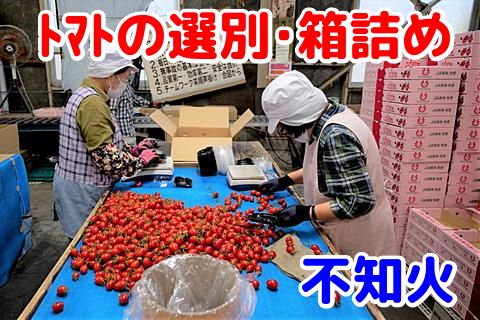 熊本県農業協同組合中央会