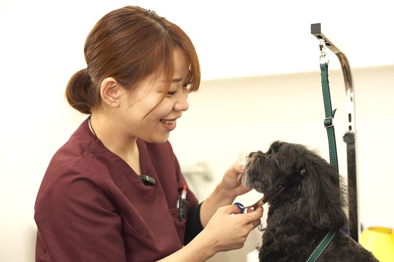 株式会社HACの求人・転職情報