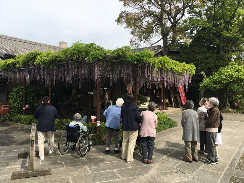 ぬくもりの家　今富