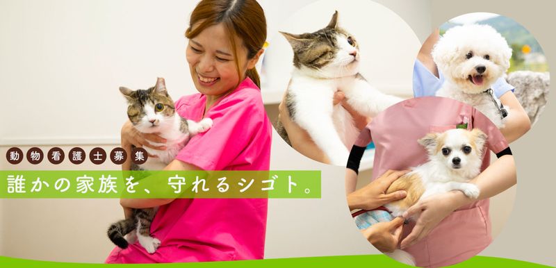 有限会社八幡の求人・転職情報