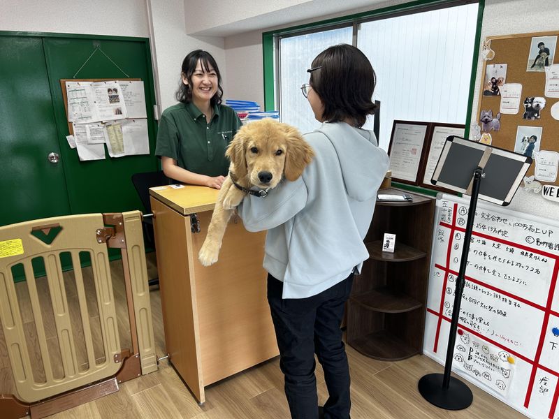 有限会社ディーエルピー