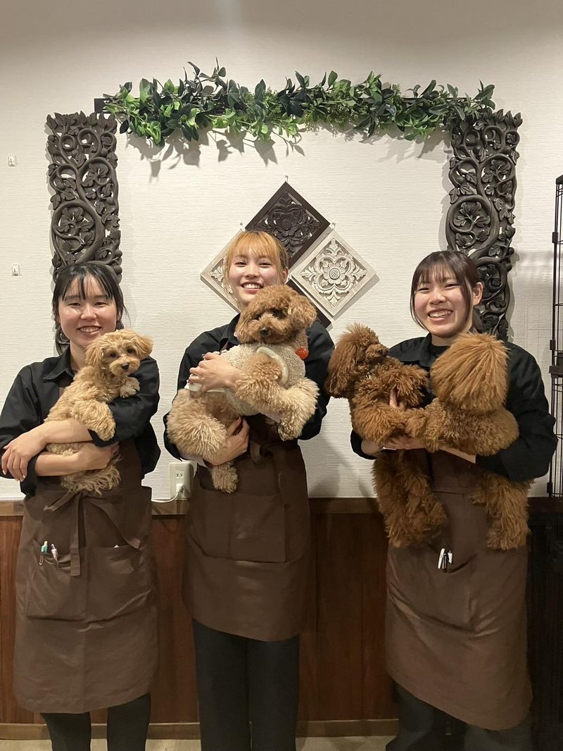 トリミングサロン　Lucuの求人・転職情報