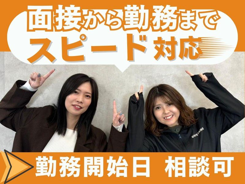 株式会社ドライブトライブの求人・転職情報