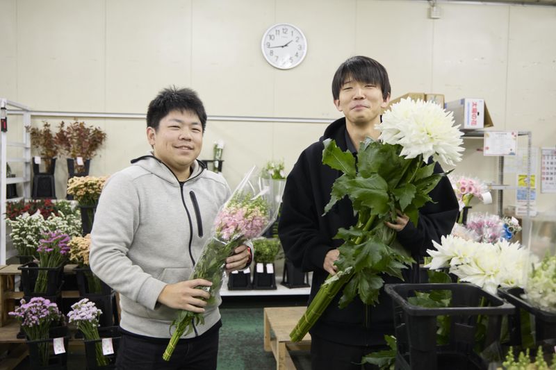 株式会社ドリーム