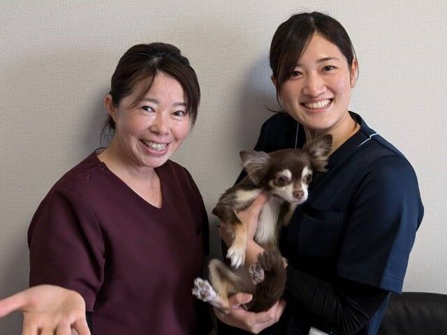 株式会社サンブルーム　はるいろ訪問看護ステーションの求人・転職情報