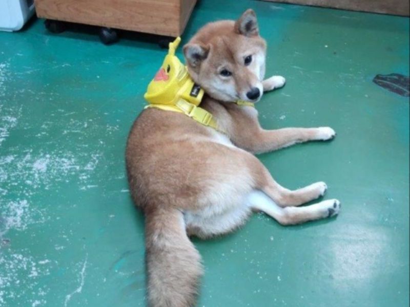 株式会社 城東部品のアルバイト・バイト求人情報-04