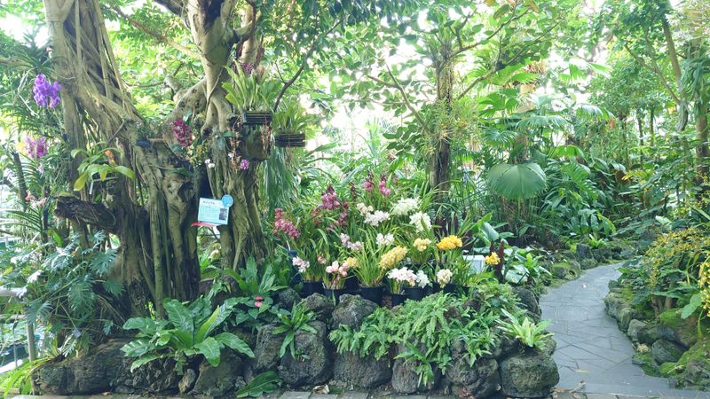 株式会社グリーン大阪の求人・転職情報