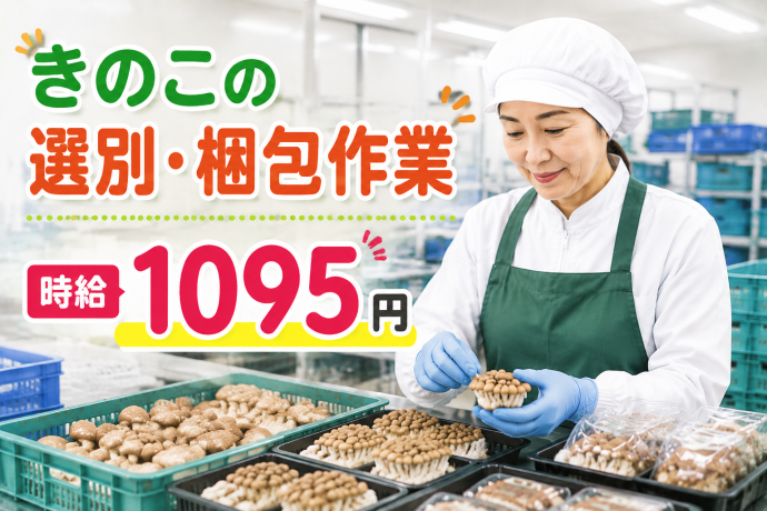 株式会社NCI