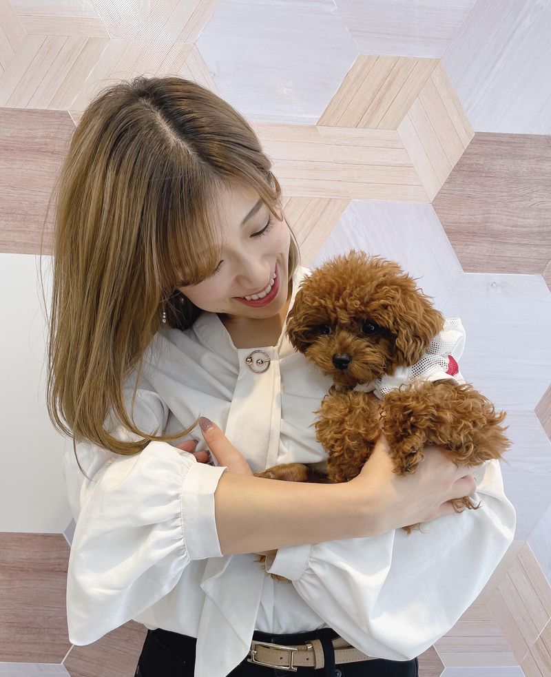 LOOP Real Credito株式会社の求人・転職情報