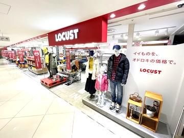 LOCUST(ローカスト)　新宿マルイ店の求人情報