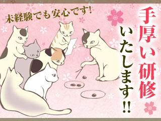 株式会社エイジェックの求人・転職情報