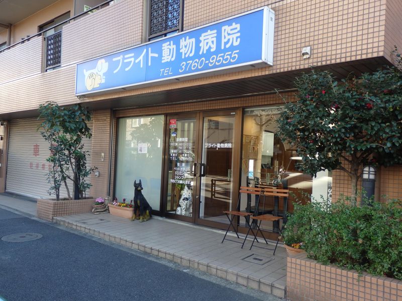 株式会社ファニメディックの求人・転職情報