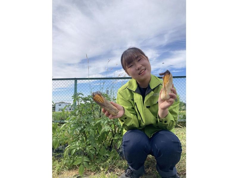 サンテクノ株式会社