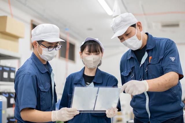 ㈱マイム・コーポレーションの求人・転職情報