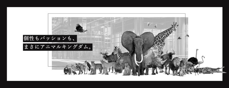 株式会社D-CREWの求人・転職情報