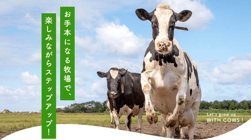 株式会社来島牧場の求人・転職情報