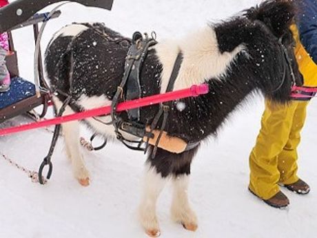 株式会社ヒューマニックのアルバイト・バイト求人情報-03