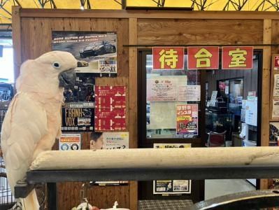 タイヤショップ早野　もとす本店のアルバイト・バイト求人情報-03