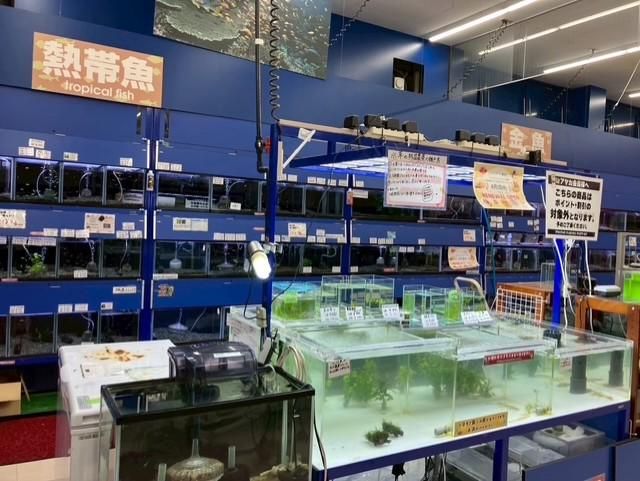 OneBuddy瀬田店のアルバイト・バイト求人情報-04