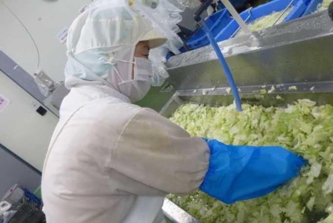 有限会社石倉製麺所のアルバイト・バイト求人情報-02