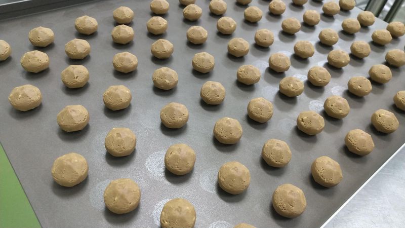 株式会社ウイッシュボン　福浦本社のアルバイト・バイト求人情報-03