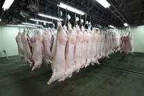 志布志畜産株式会社のアルバイト・バイト求人情報-02