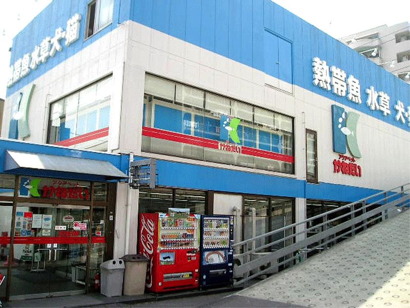 アクア&ペットかねだい　草加店のアルバイト・バイト求人情報-04