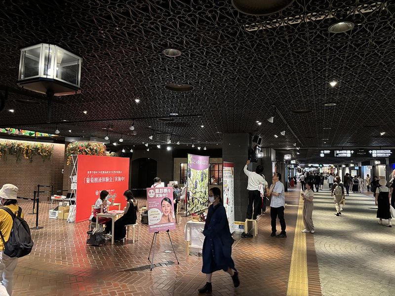 株式会社ハーベリィアースストーリー-0002の求人・転職情報